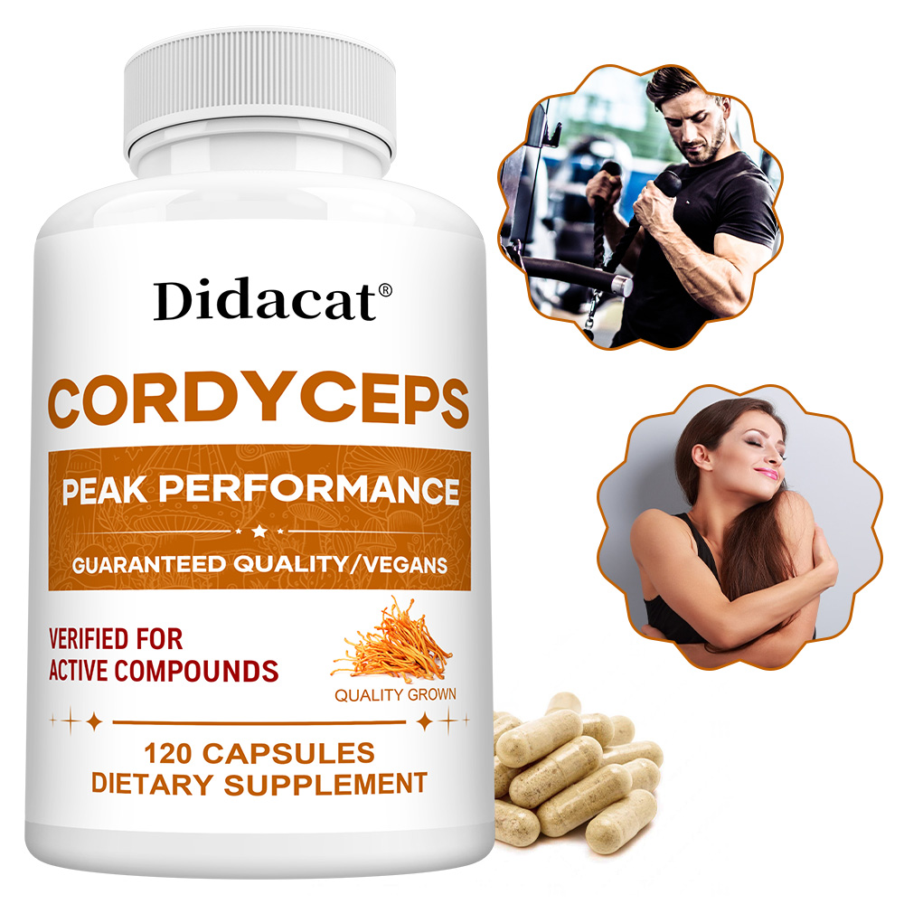 Health Wellness & Psychology - Cordyceps-paddenstoelcapsules 1000 mg, natuurlijk welzijnssupplement, ondersteunt