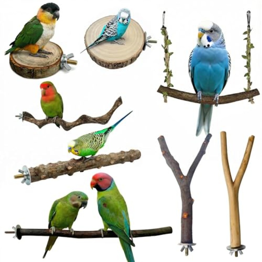 8 stuks natuurlijke houten vog - Health & Wellness Services At Western University London Reviews recensie en prijs