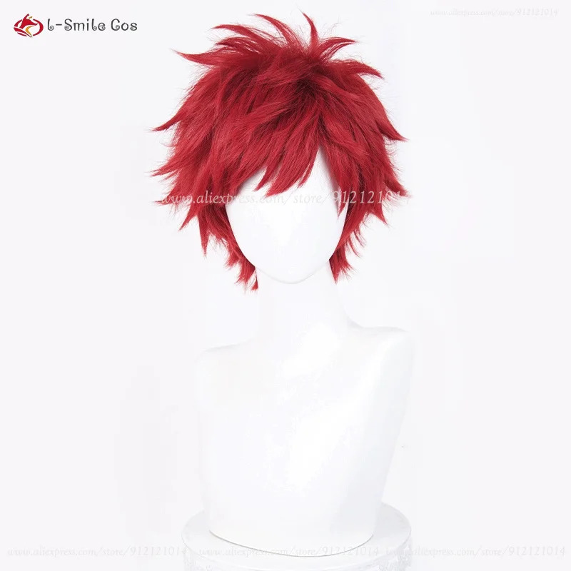 Anime Reinhard Van Astrea Cosp - Resistance Tube Set recensie en prijs
