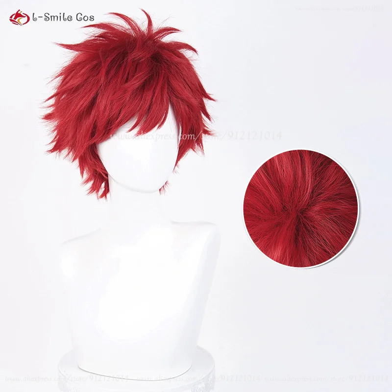 Anime Reinhard Van Astrea Cosp - Resistance Tube Set recensie en prijs