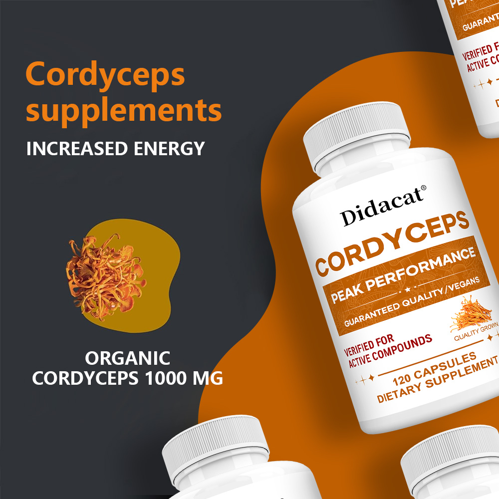 Cordyceps-paddenstoelcapsules  - Health Wellness & Psychology recensie en prijs
