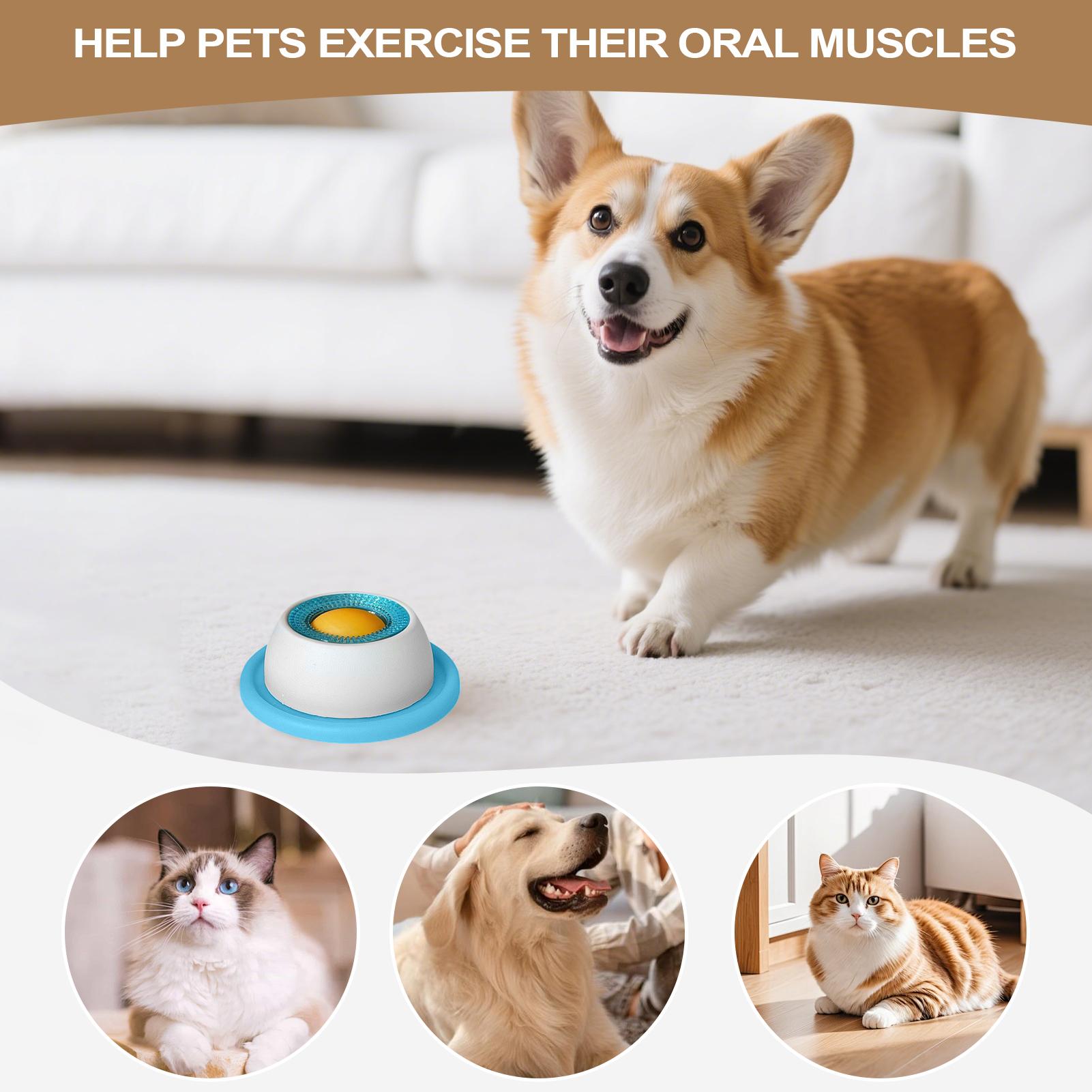 Hondenspeelgoed voor snoepjes, - Health Wellness Items recensie en prijs